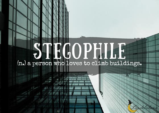 Stegophile