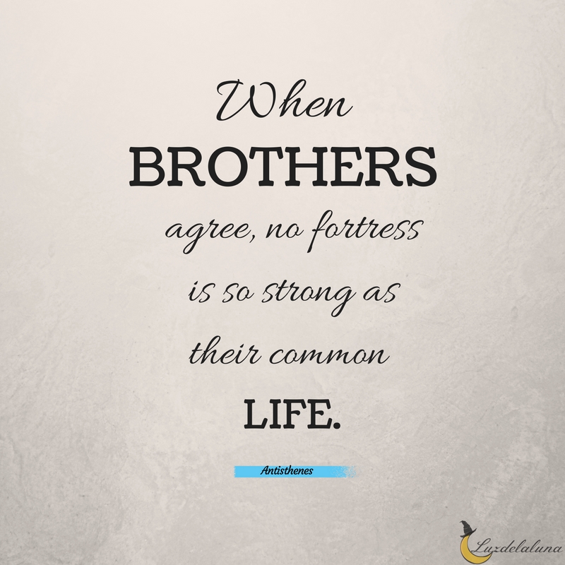 15 Awesome Brother Quotes Luzdelaluna