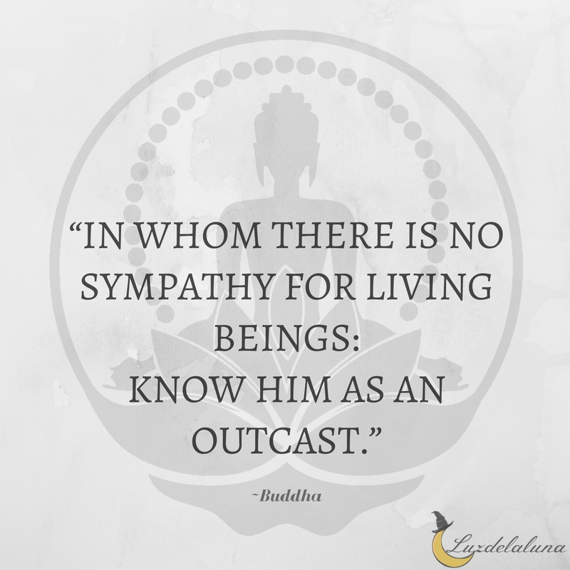 buddha quotes