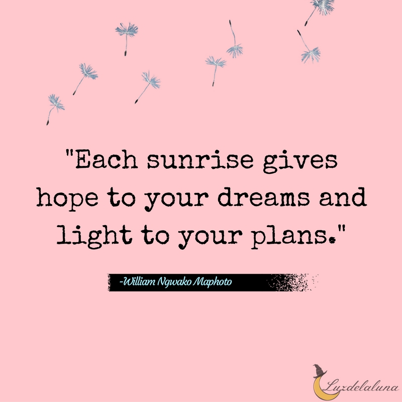 dream quotes