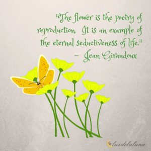 flower quotes luzdelaluna