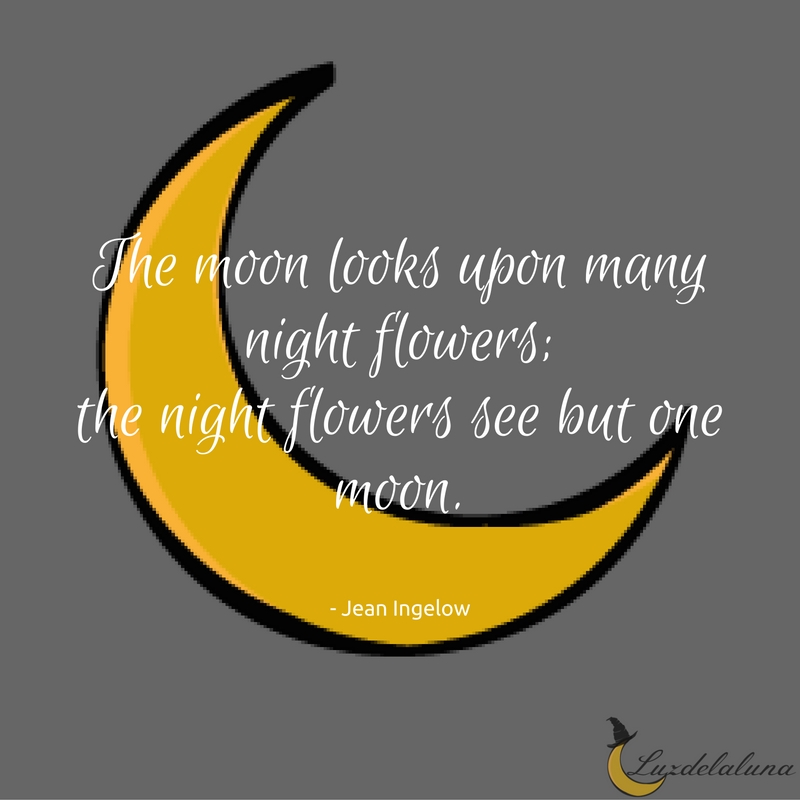 moon quotes