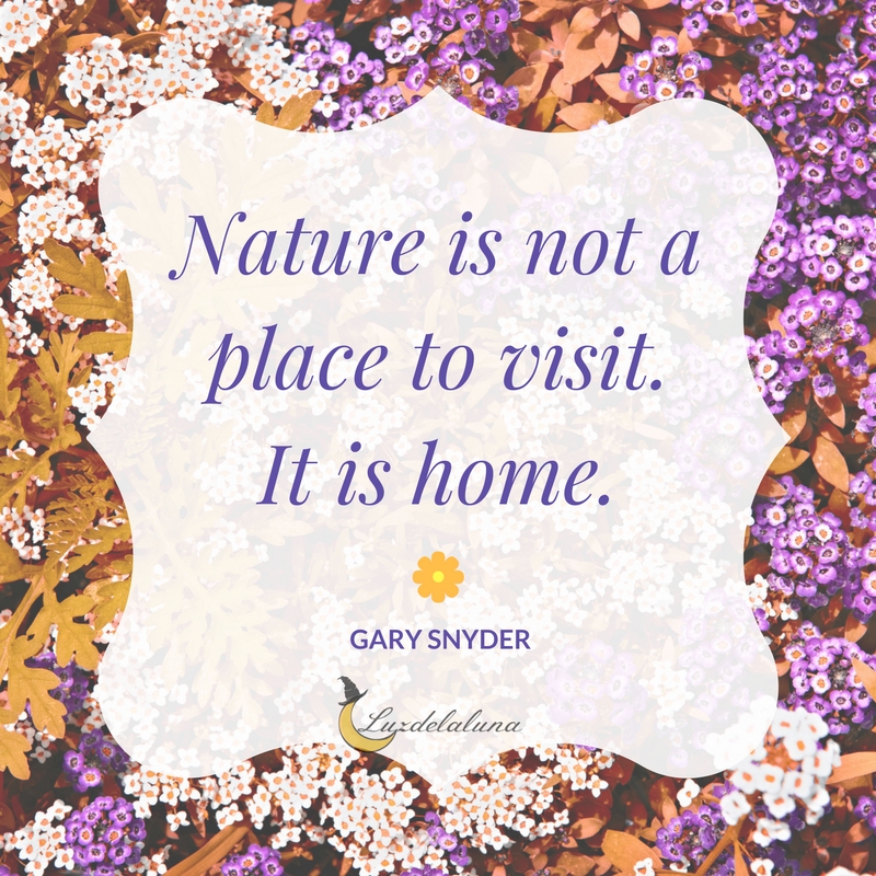 nature quotes