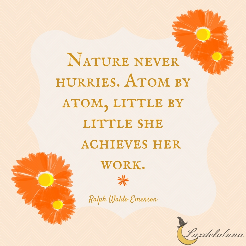 nature quotes