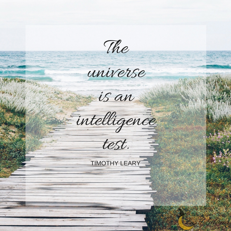 universe quotes