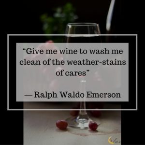 wine quotes luzdelaluna