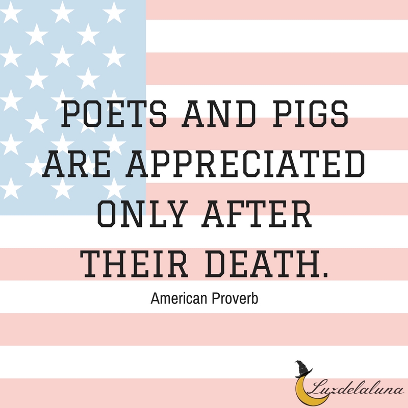 american proverb