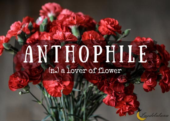 anthophile