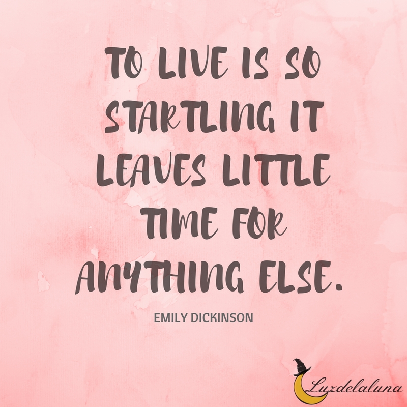 emily Dickinson Quotes