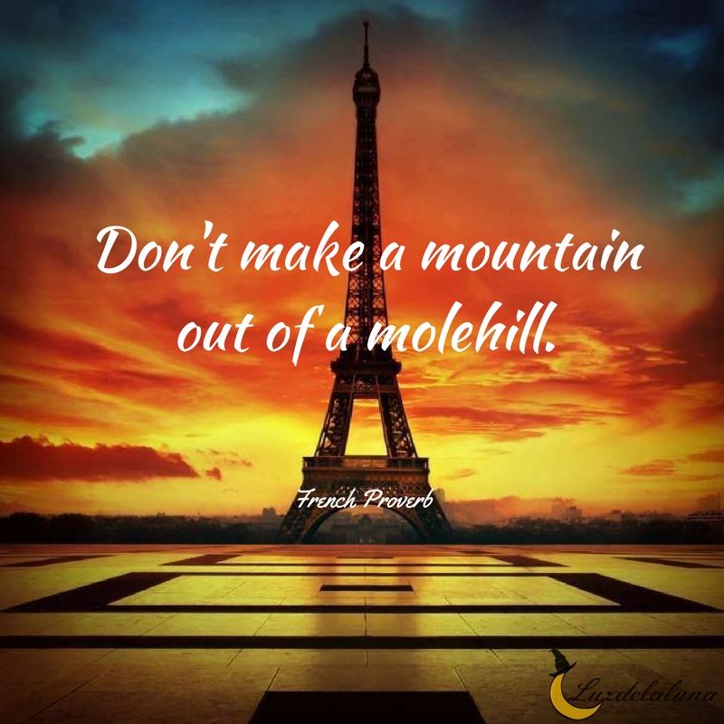 French proverb