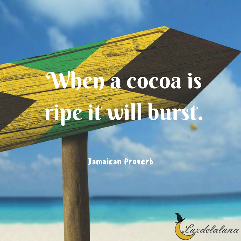 Jamaican proverb