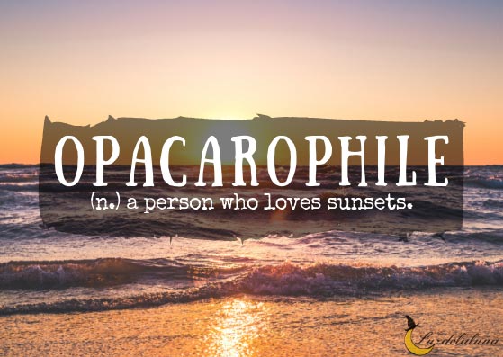 Opacarophile