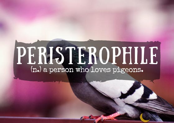 Peristerophile