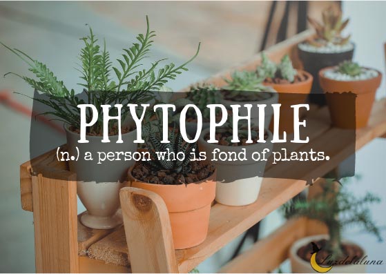 Phytophile