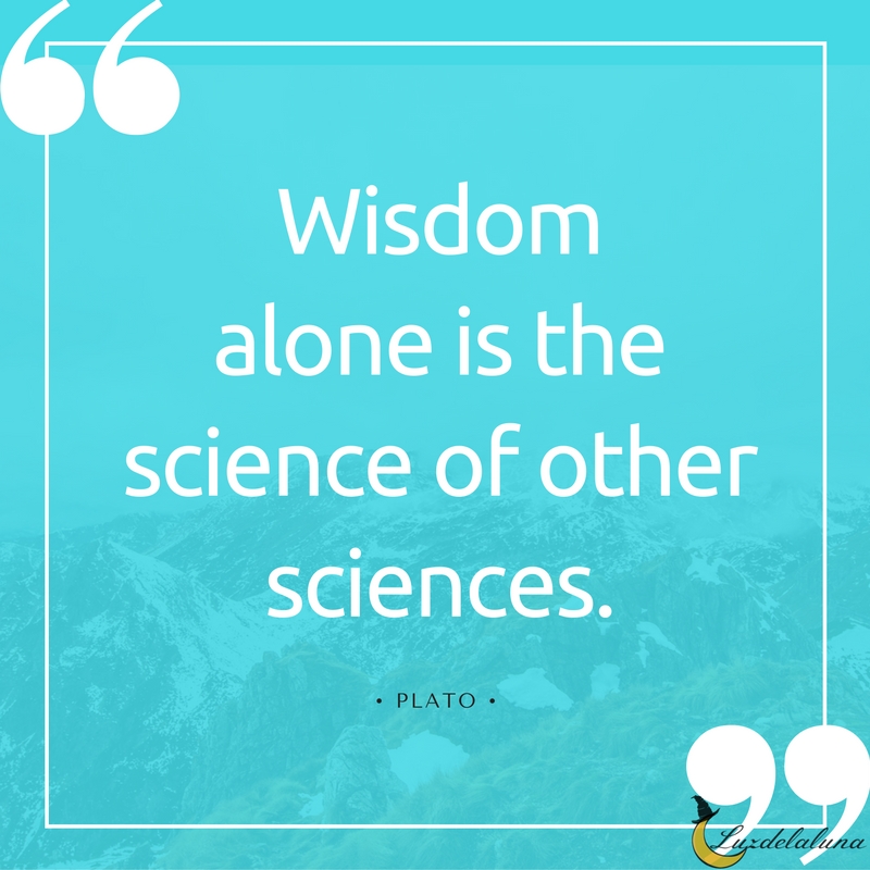 plato quotes