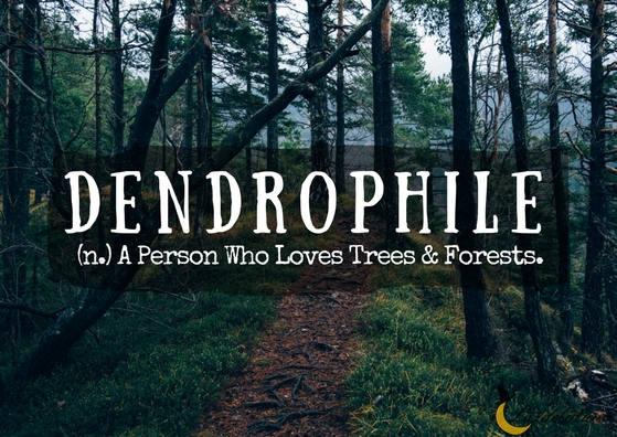 dendrophile