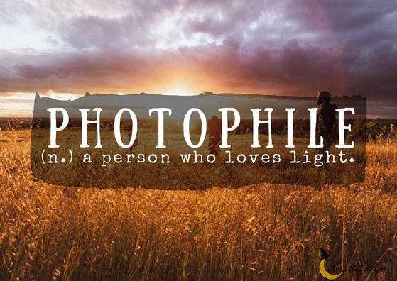 photophile