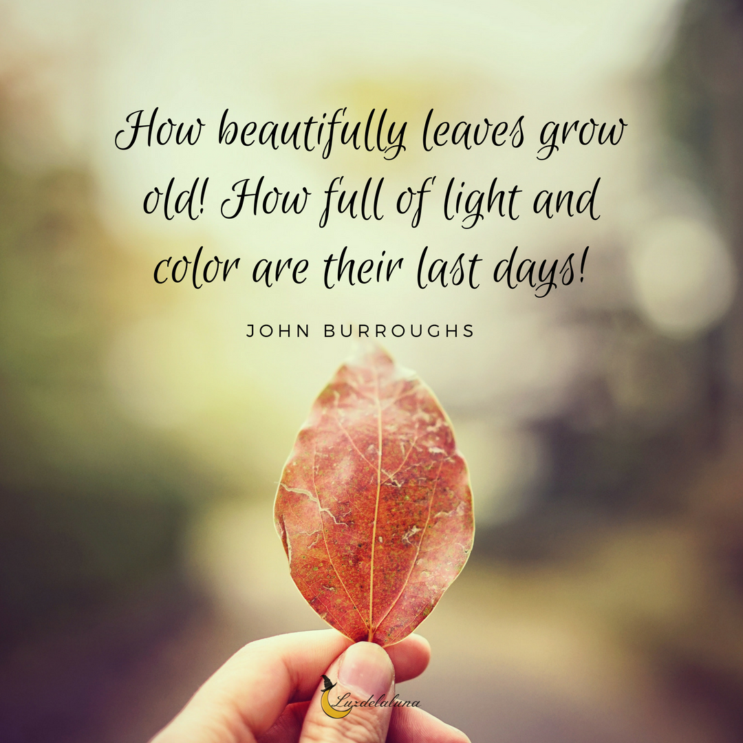 autumn quotes