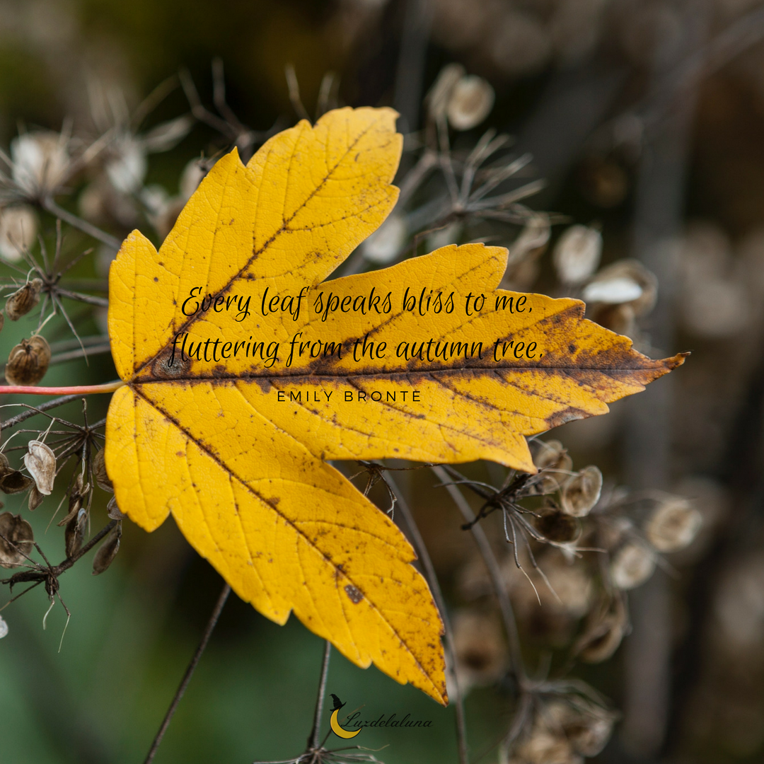 autumn quotes