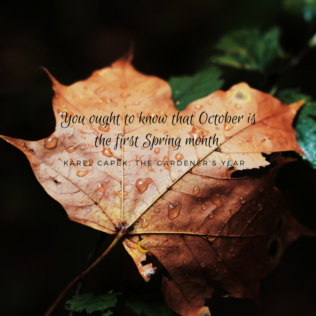 autumn quotes