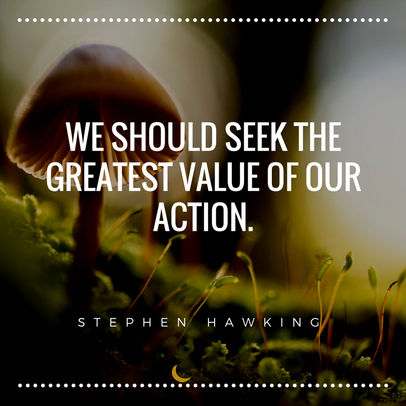 stephen hawking quotes