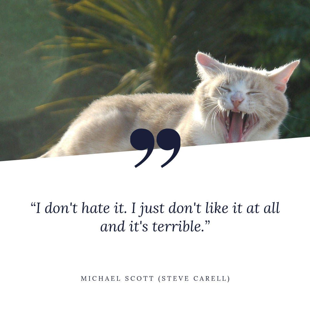 michael scott quotes