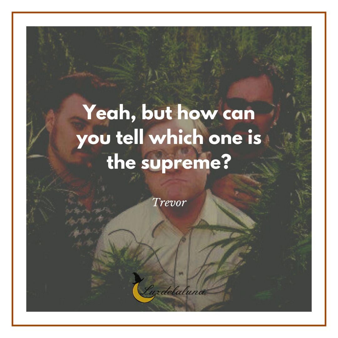 trevor quotes