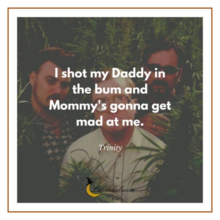 Hilarious Trailer Park Boys Quotes Luzdelaluna Quotes