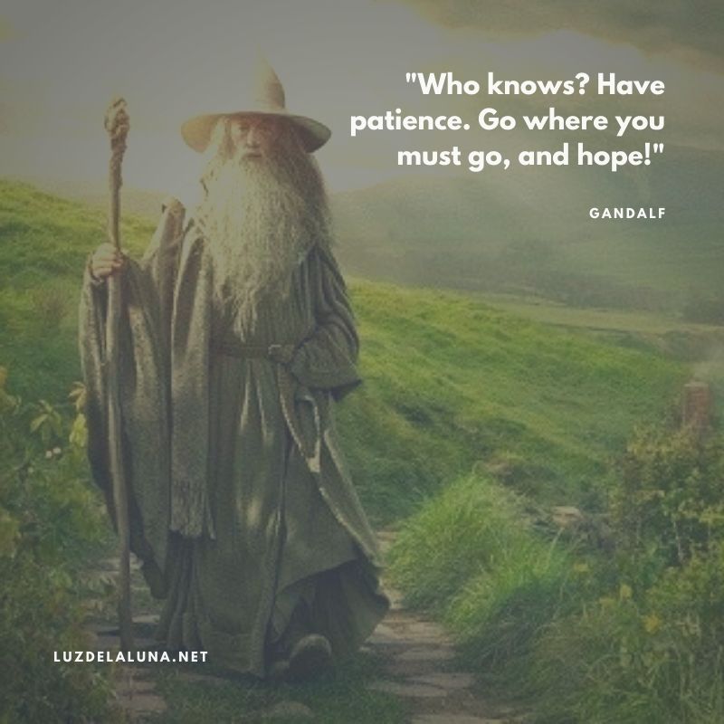 wise gandalf quotes