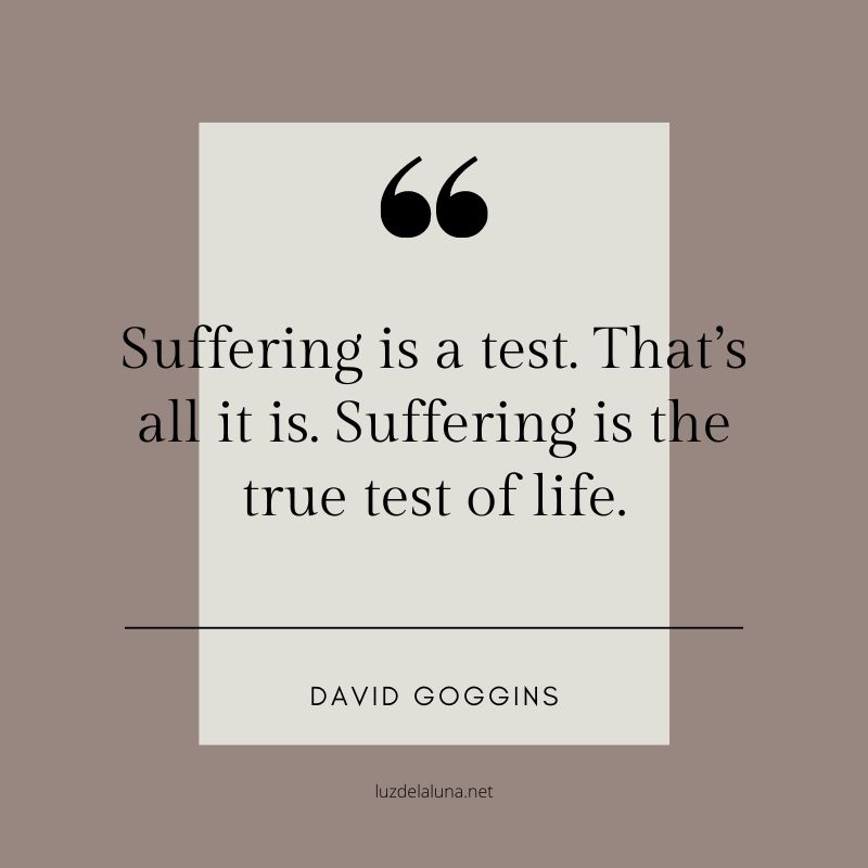 david goggins quotes