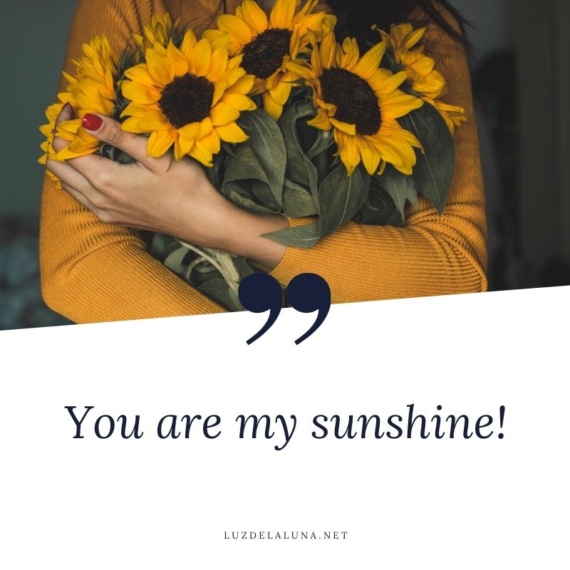 sunflower quotes for instagram