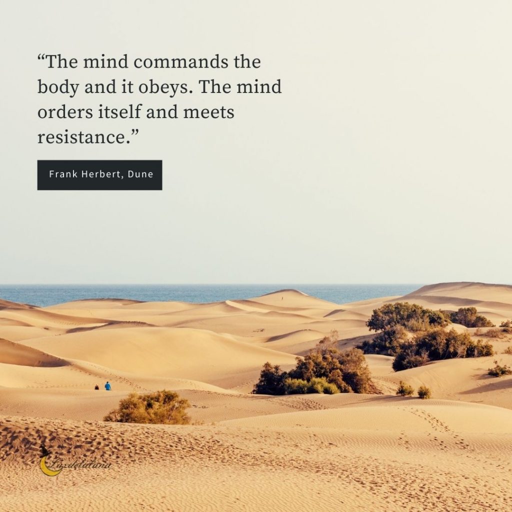 dune quotes
