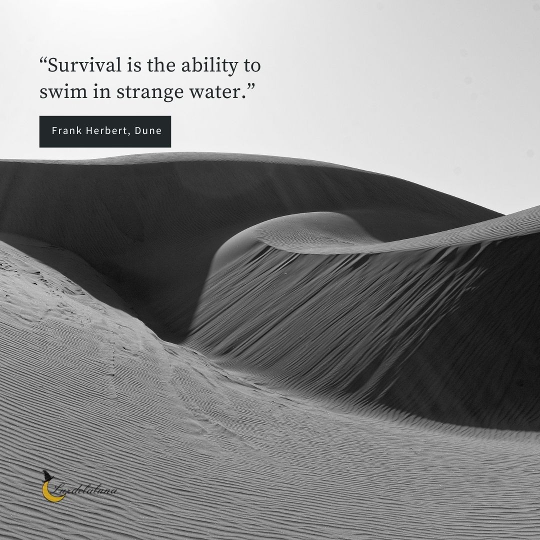 100 Best Dune Quotes To Not Luzdelaluna Quotes