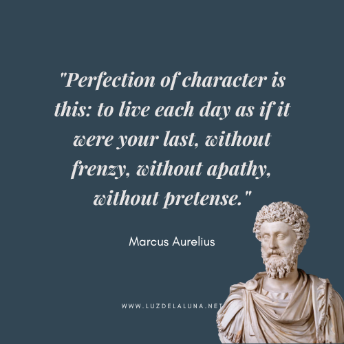 "Perfection of character is this: to live each day as if it were your last, without frenzy, without apathy, without pretense." — Marcus Aurelius Quotes